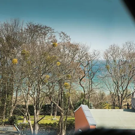 Sky And Sea By Renters Prestige 소포트